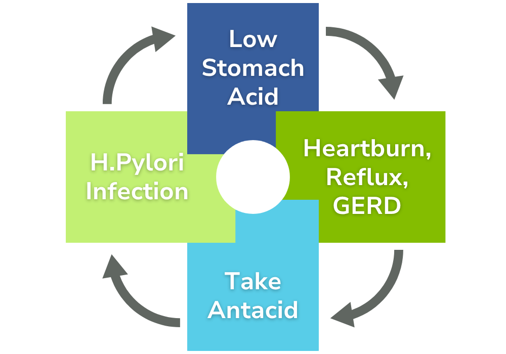 h.pylori cycle: low stomach acid leads to heartburn, which causes you to take an antacid, which leads to the h.pylori infection which further reduces stomach acid