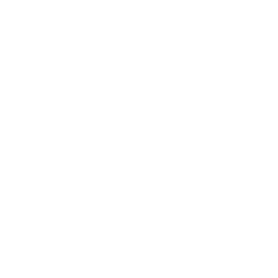 phone icon phone icon