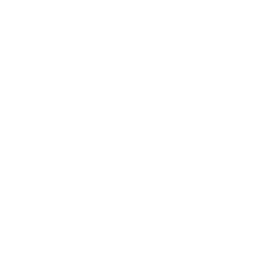 pills icon pills icon