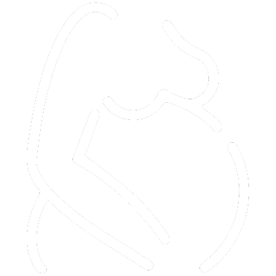 Prenatal Chiropractic