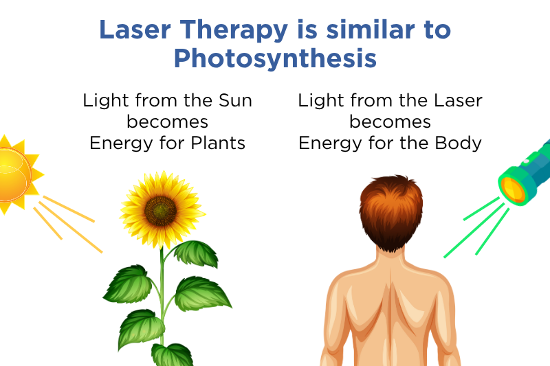 Illustration comparing laser therapy (photobiomodulation) to photosynthesis